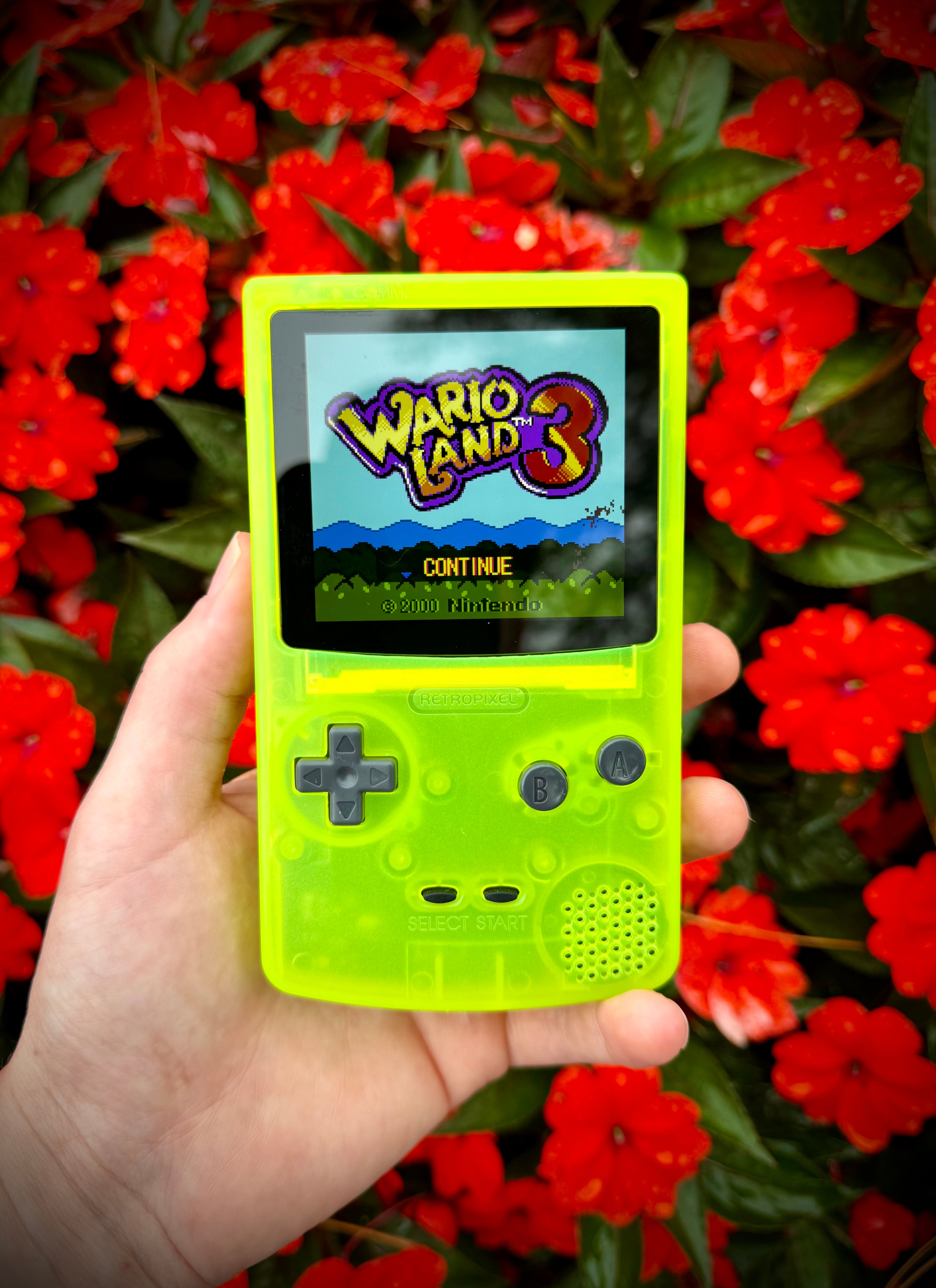 Custom IPS & USB C Modded Gameboy Color